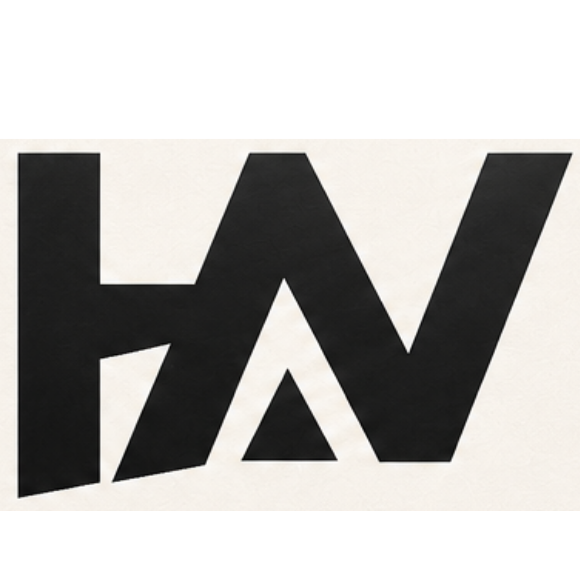 hidenothin logo